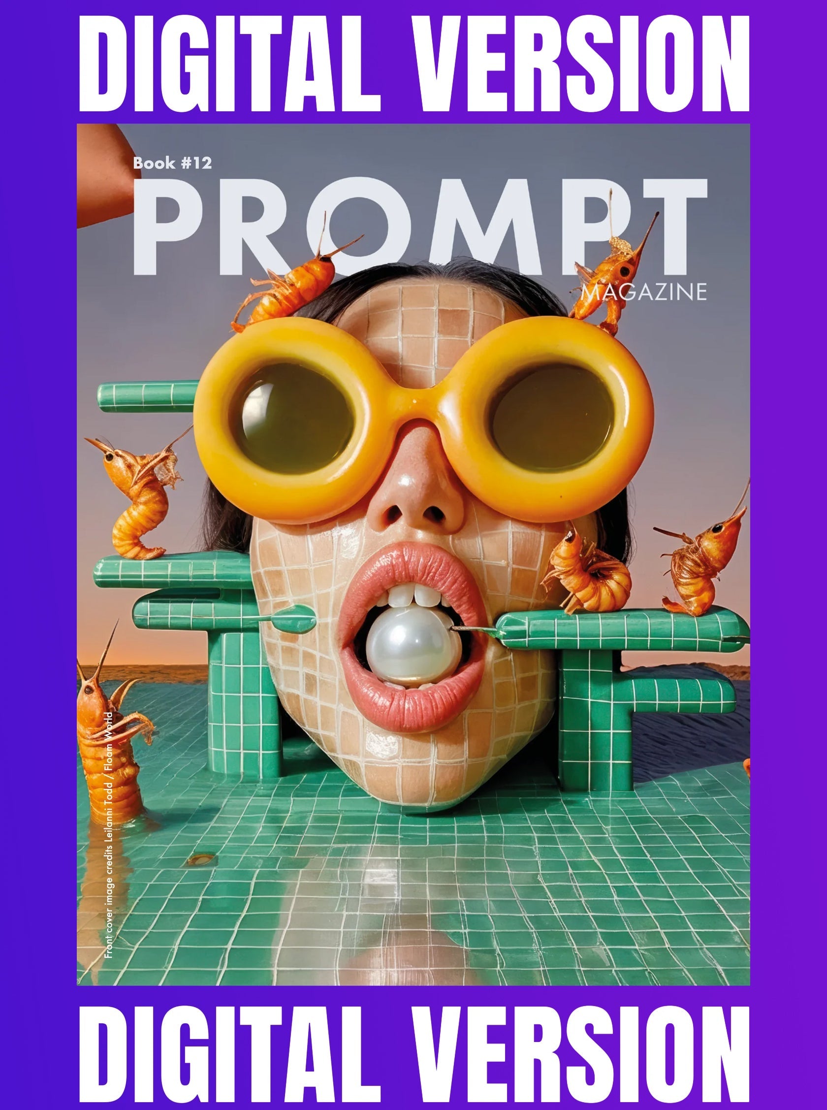 Prompt Magazine 12 digital book