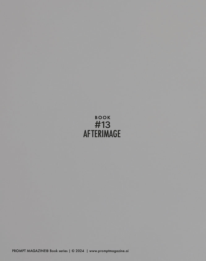 PROMPT MAGAZINE Book 13: Afterimage