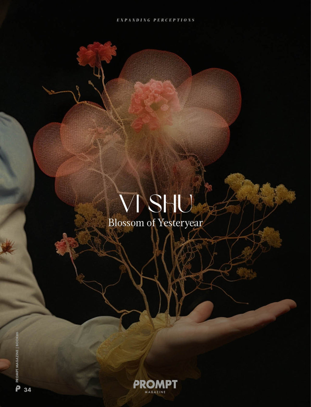 PROMPT MAGAZINE Issue 6: EXPANDING PERCEPTIONS