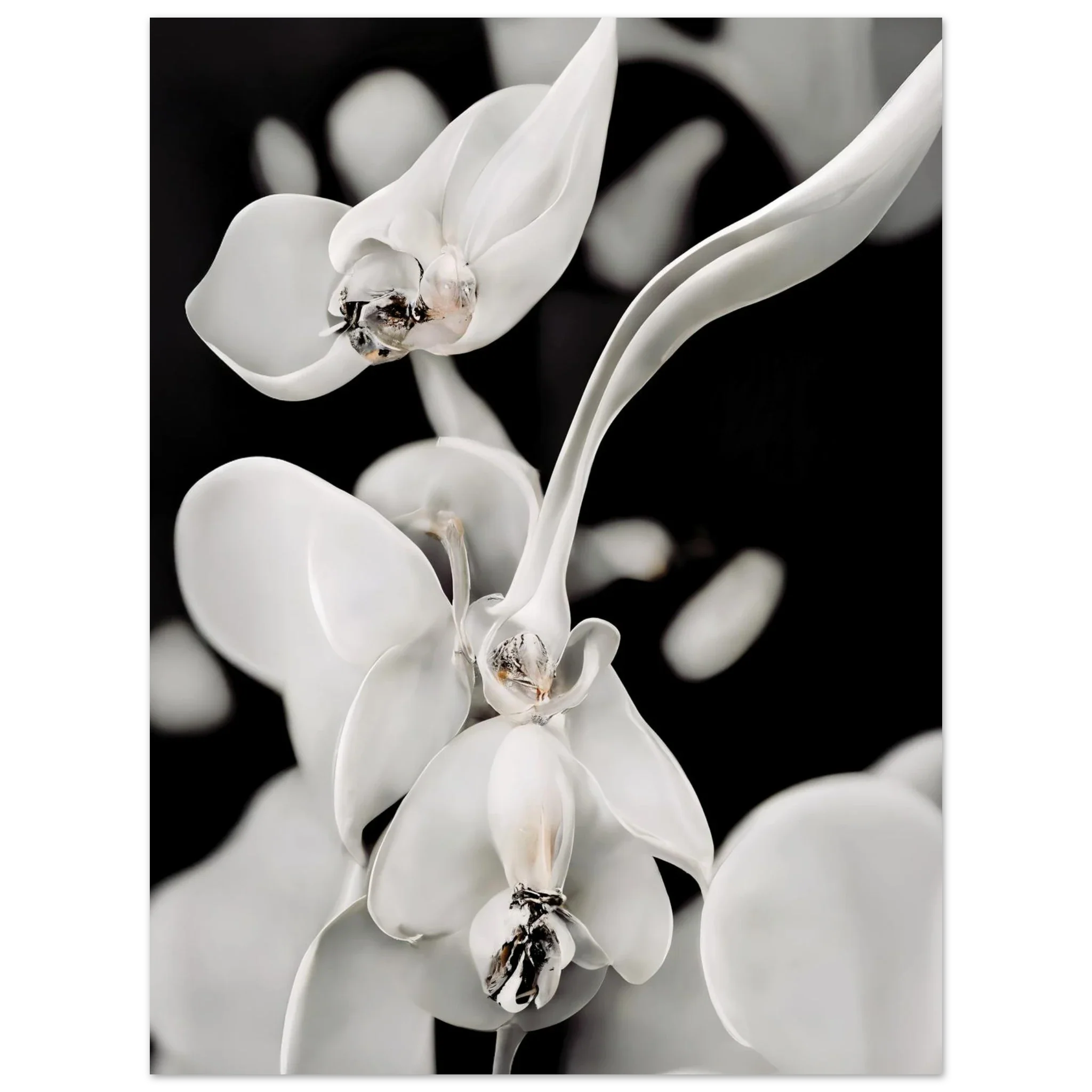 f86ab19a-c292-4398-bfef-d565fe43bd65